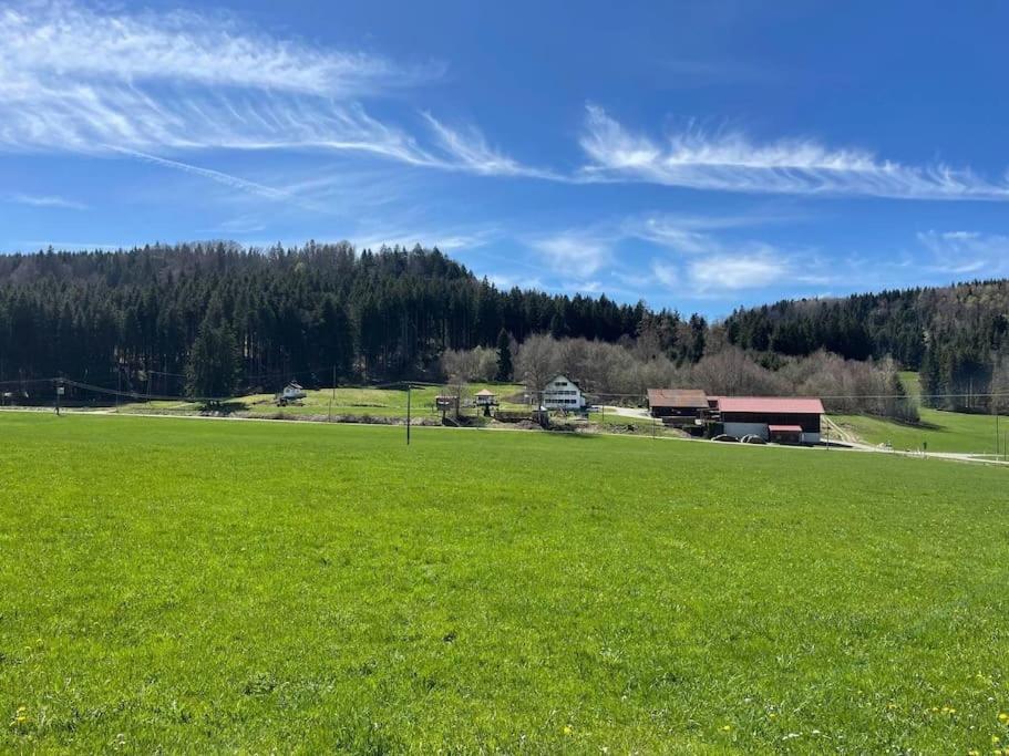 Idyllisches Ferienapartment Allgaeu Bad Grönenbach المظهر الخارجي الصورة
